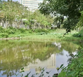 一条河流的变化（整改后）.jpg