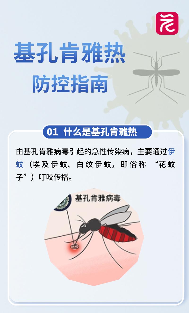 e740a8d5b0f74819a852fea801dae92f~tplv-tt-origin-web_gif.jpeg