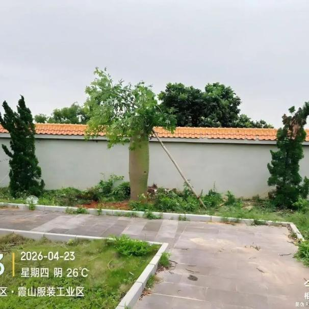 图片8.png